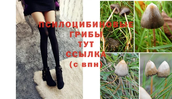 кокс Няндома