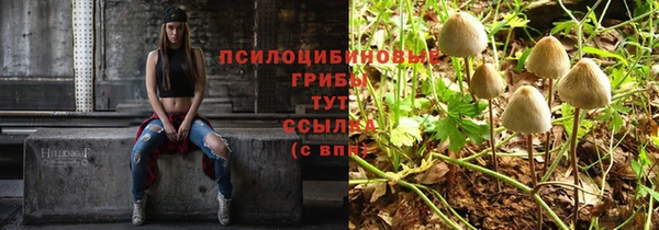 кокс Няндома