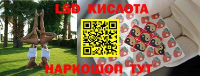 гашик Аргун