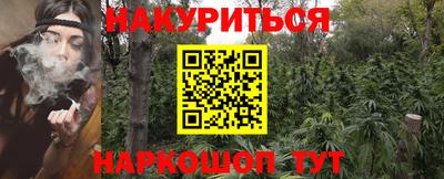 гашик Аргун