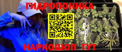 a pvp Ирбит