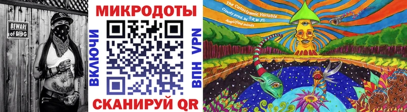 купить закладку  Северобайкальск  ОМГ ОМГ   Псилоцибиновые грибы Psilocybine cubensis 